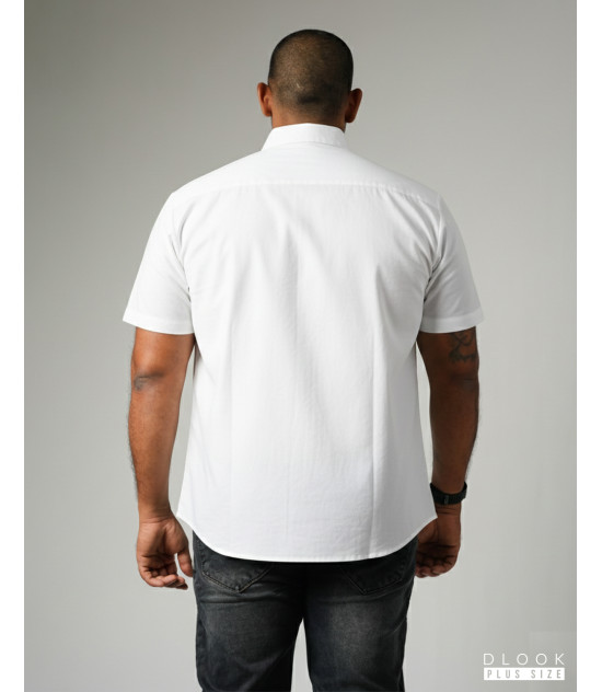 Short  Sleeve  Shirt White