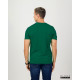 Regular Size Men's Crew Neck - Green