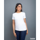 Regular Size Ladies' Crew Neck - White